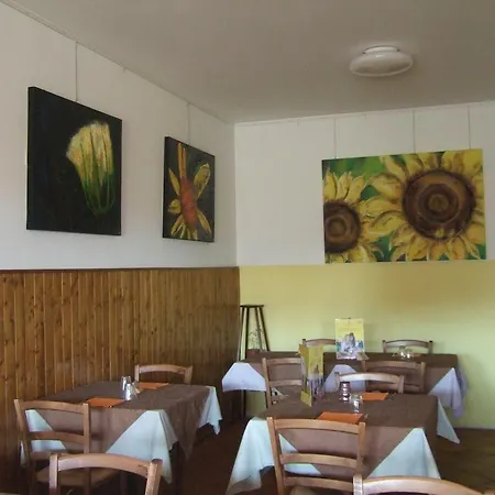Hotel Posta Anduins